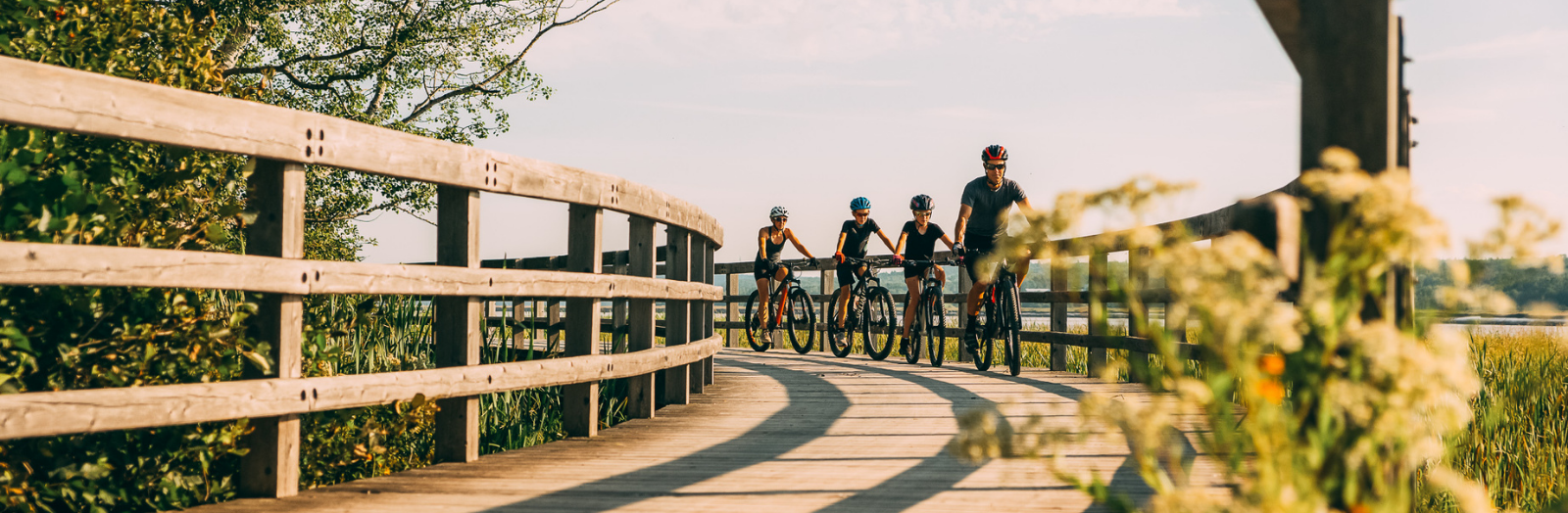 Family riding bikes