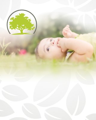 A Tree For Life