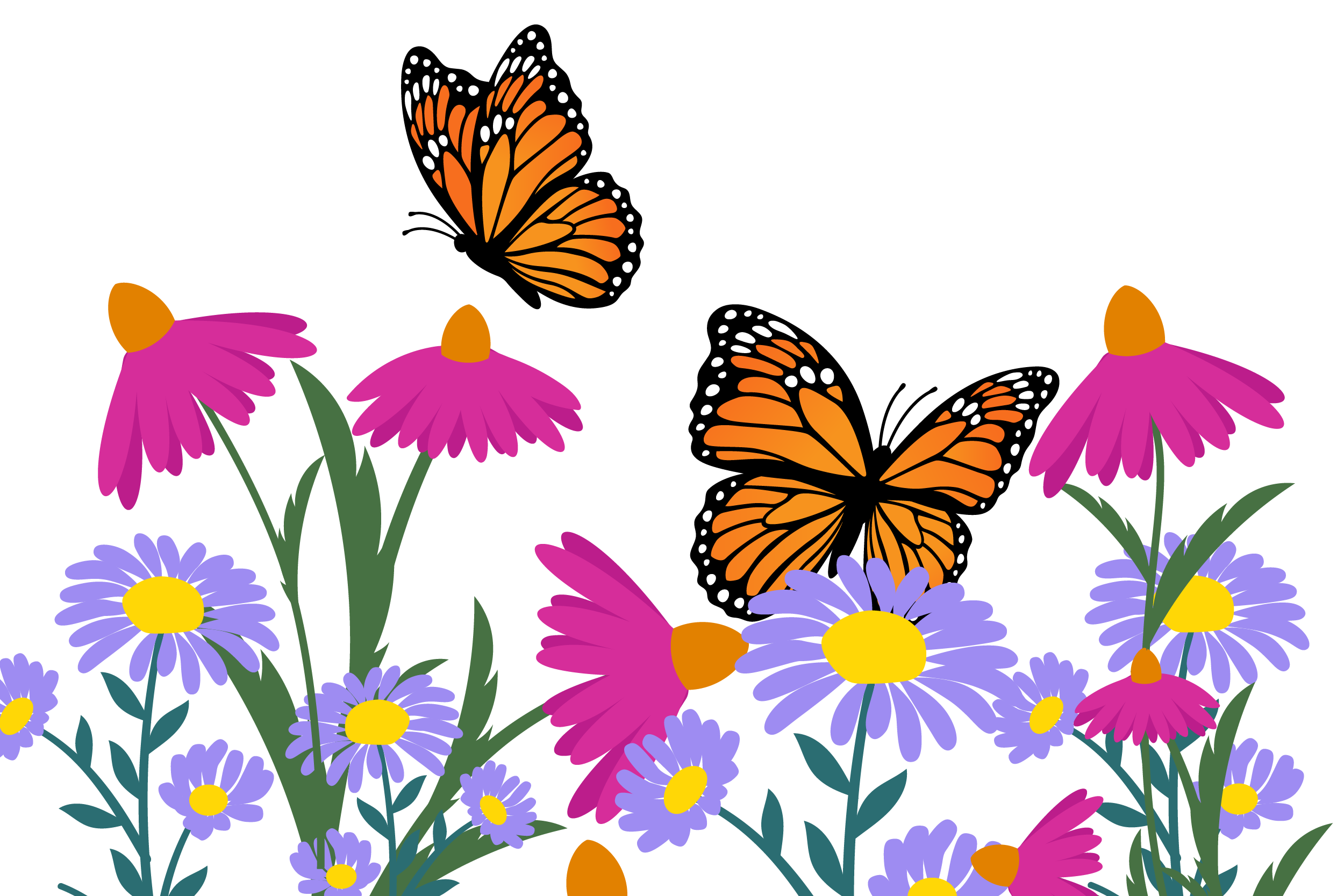 Monarchs on various flowers